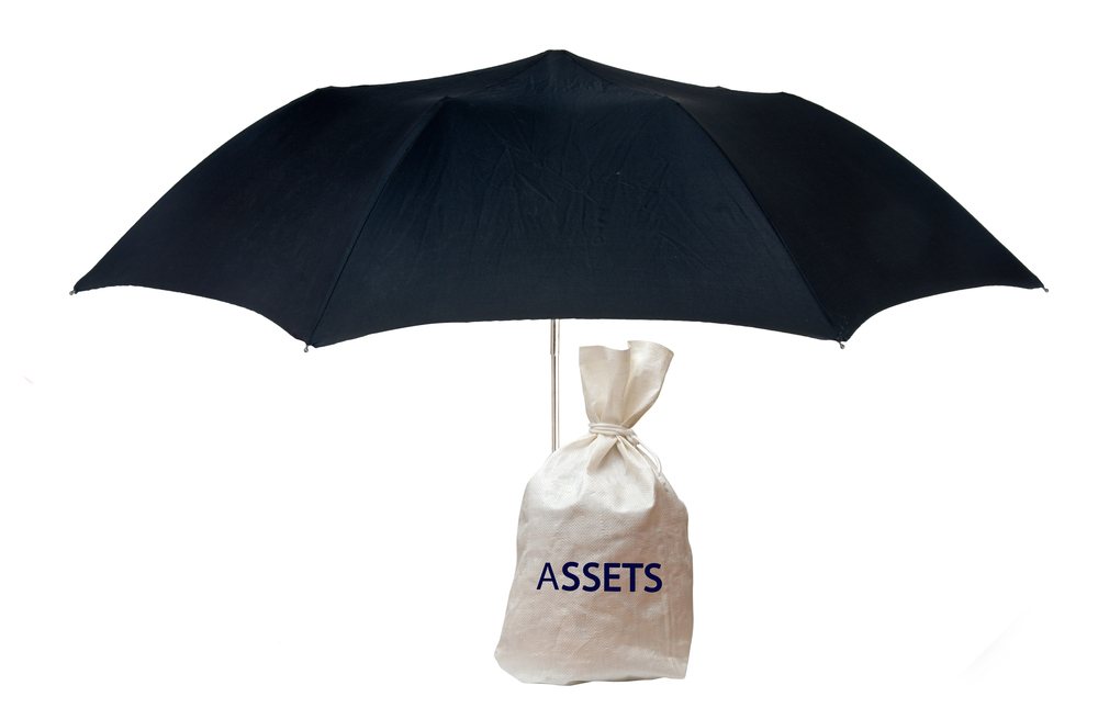 Asset Protection Planning?
